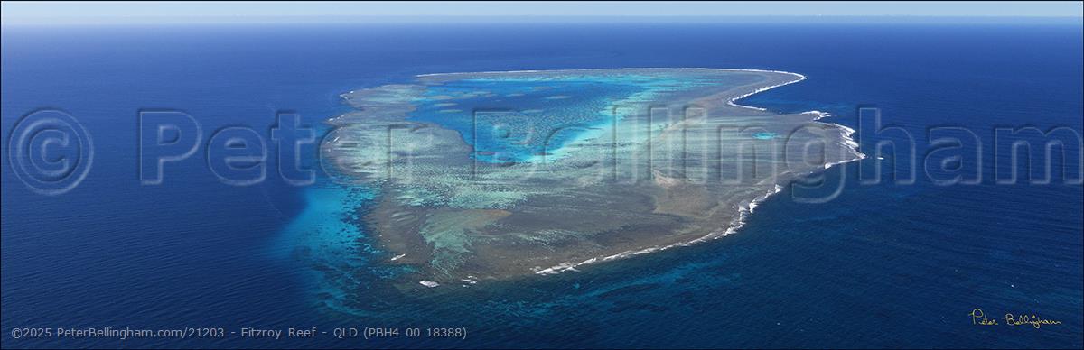 Peter Bellingham Photography Fitzroy Reef - QLD (PBH4 00 18388)